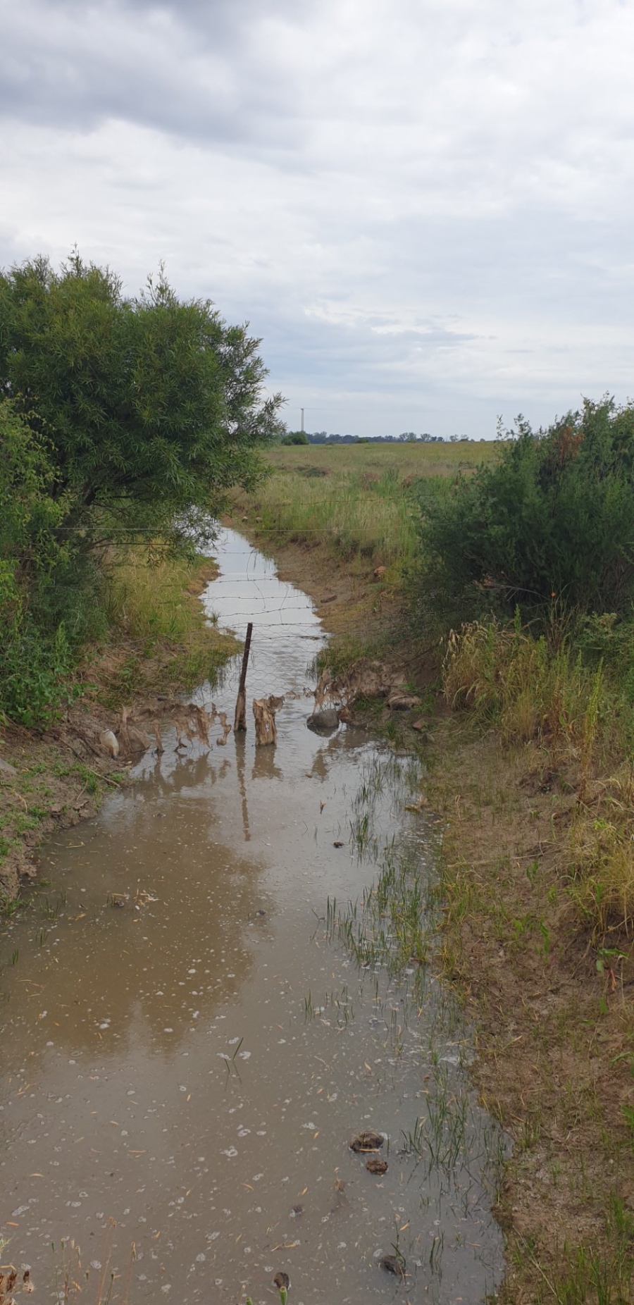 Commercial Property for Sale in Bloemfontein Rural Free State